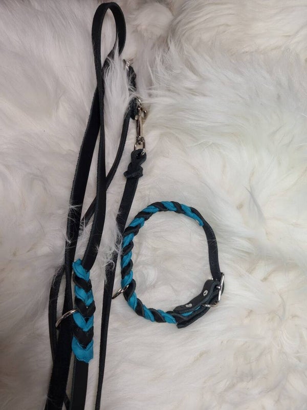 Set bestehend aus Leine und Halsband aus Fettleder