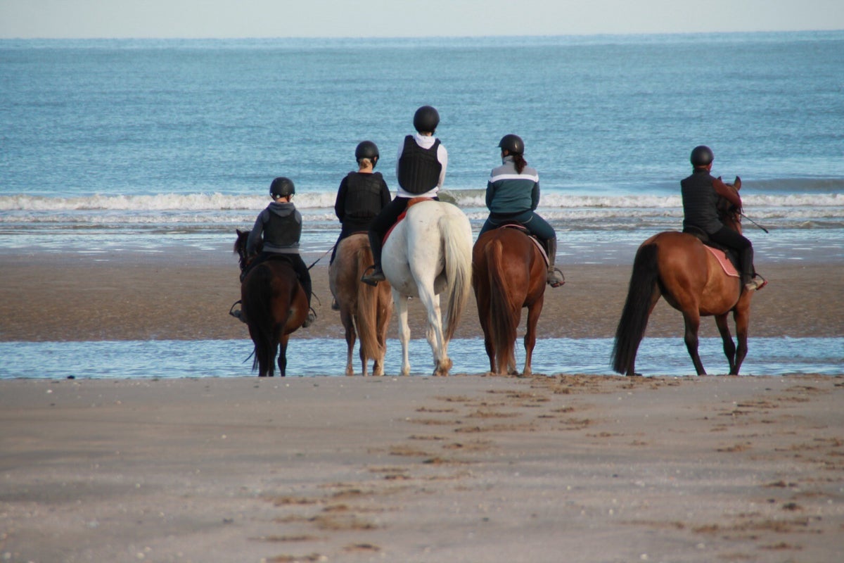 Activités Yebleronequitation