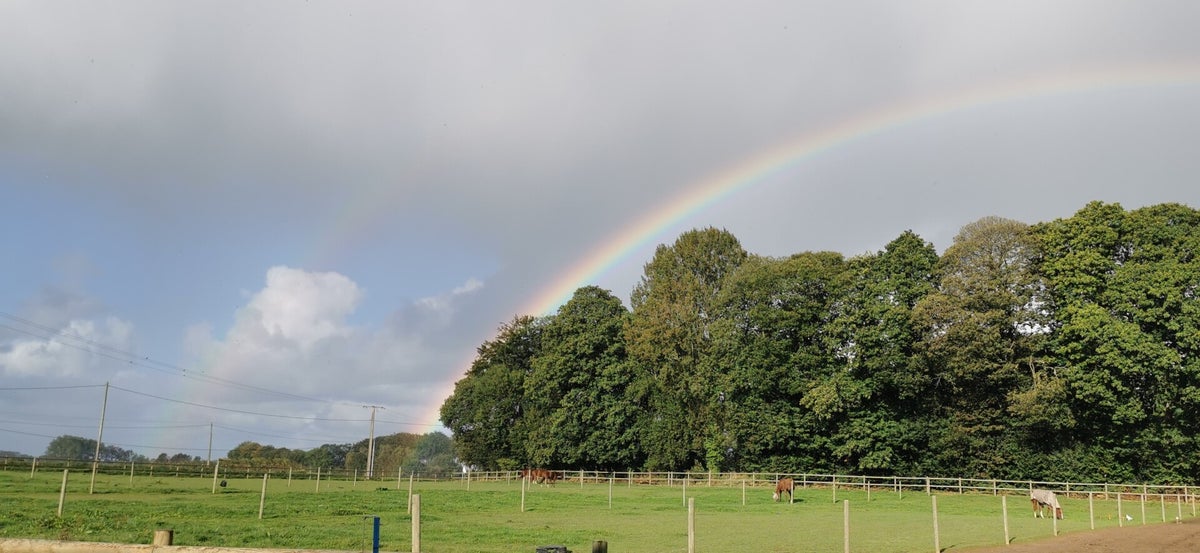 Infrastructures Yebleronequitation