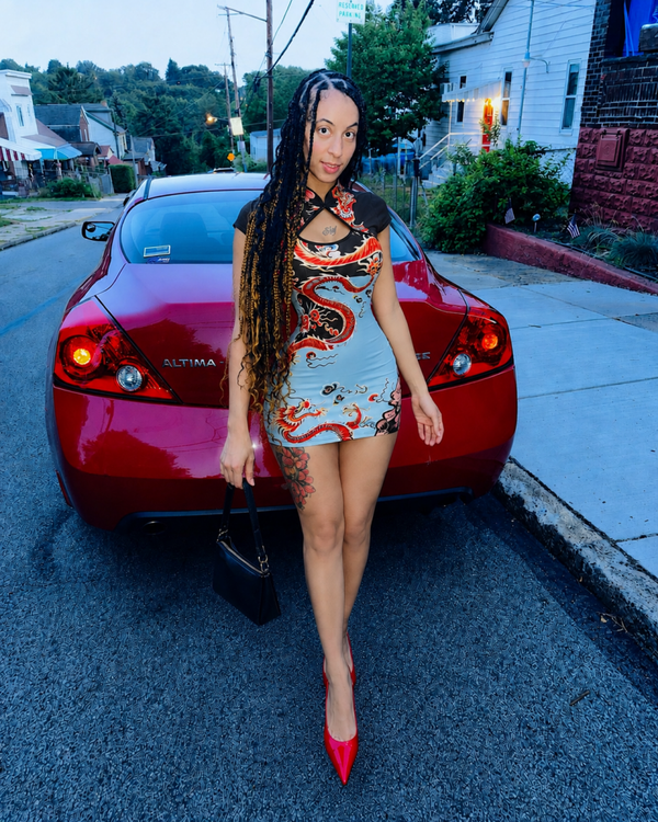 Dragon mini dress