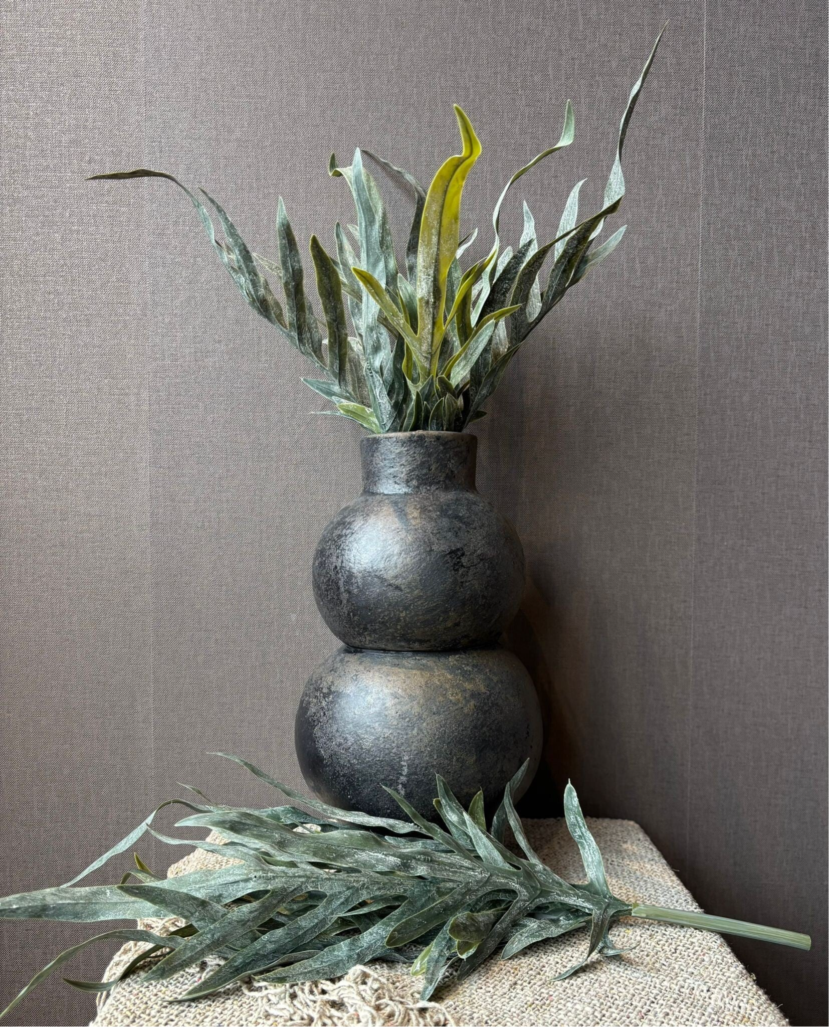 Bush Dearhorn Fern Grey Green