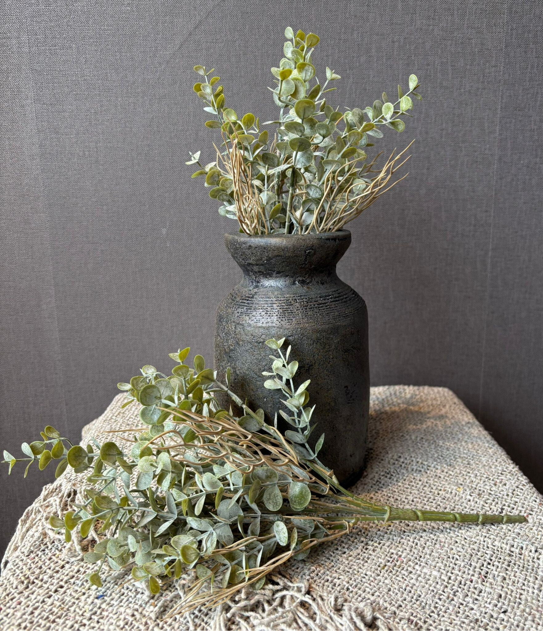 Bush Eucalyptus Ancient Grey