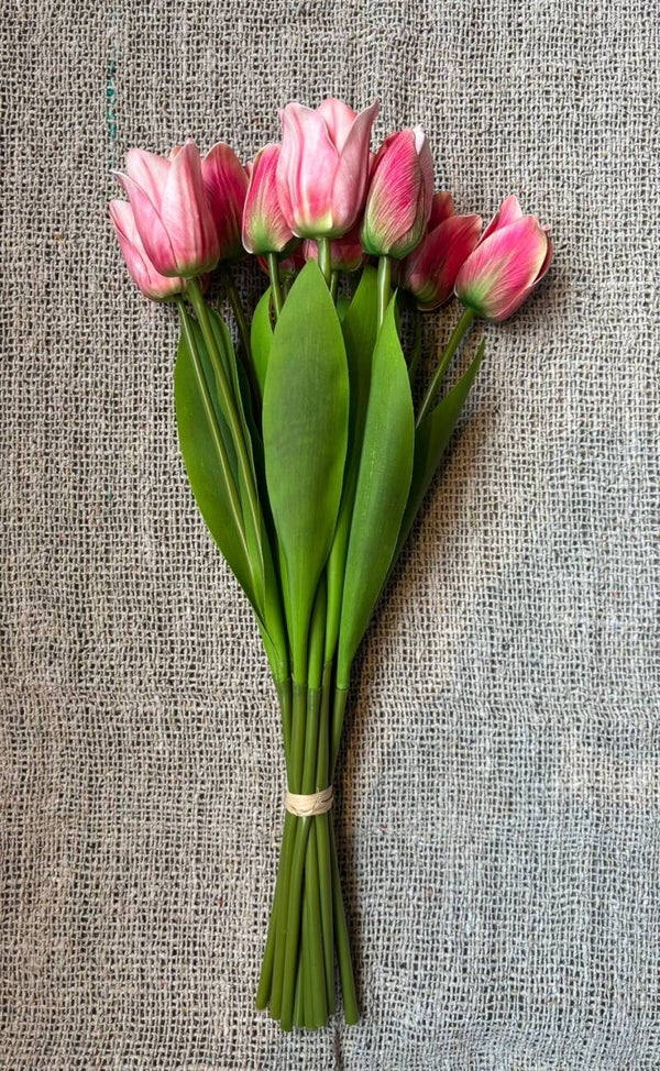Bos tulpen