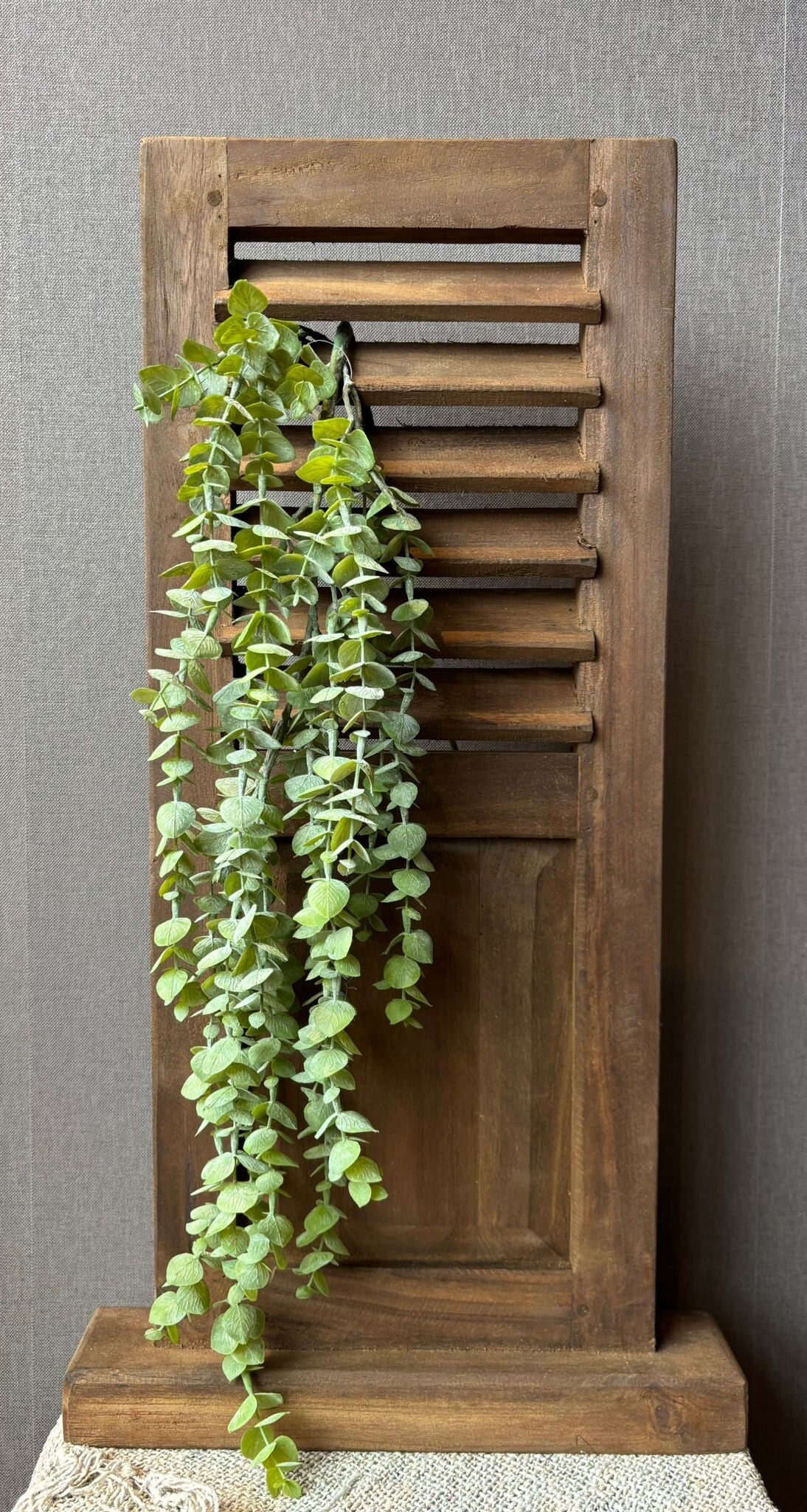 Eucalyptus hanger groen