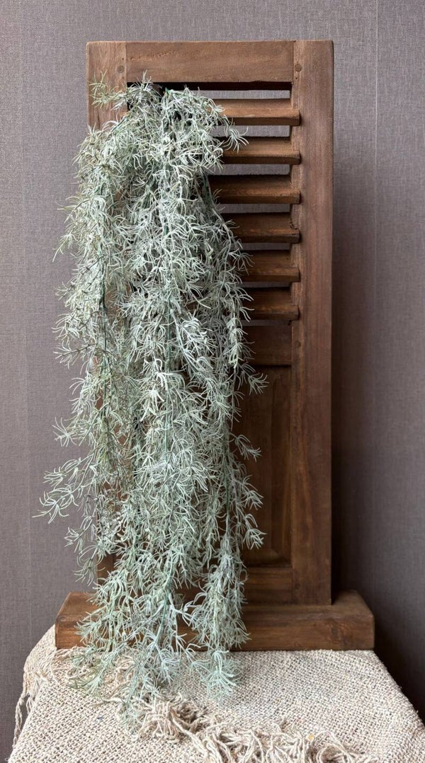 Asparagus hanger grijs