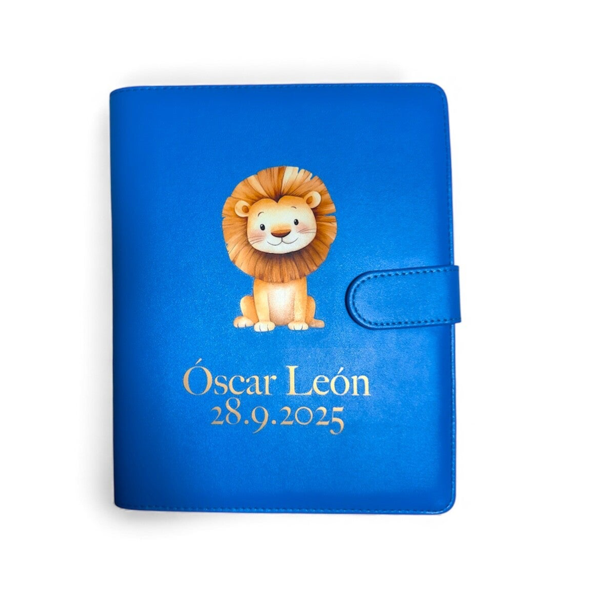 Premium Gesundheitsheft-Hülle Blau