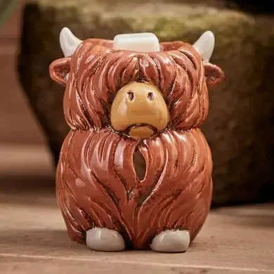 Dougal Highland Cow
