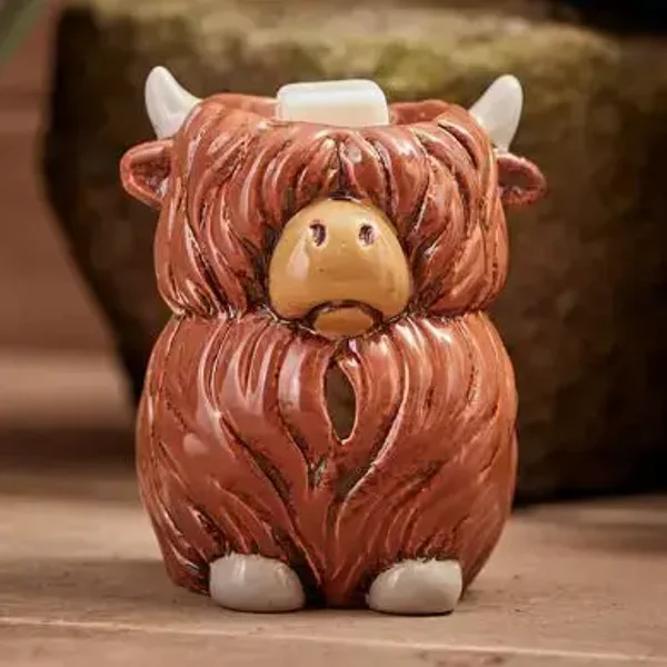 Dougal Highland Cow