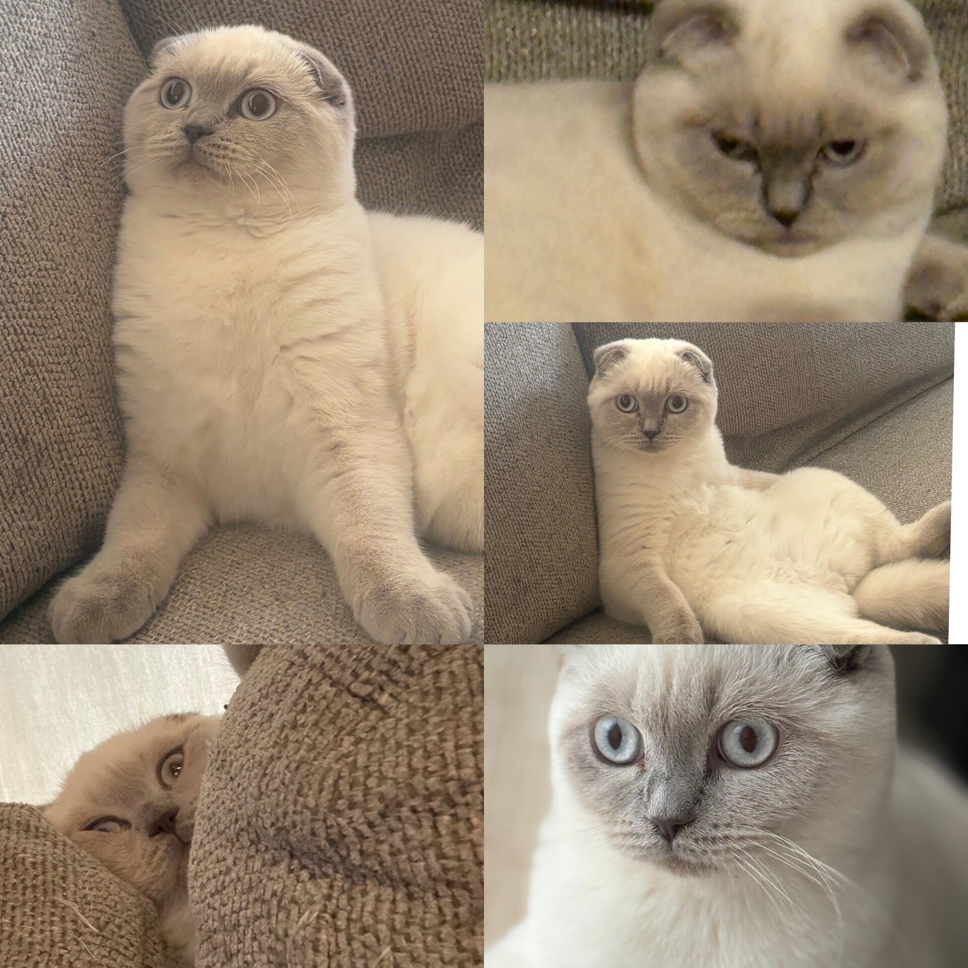 photo-output-standard.jpg