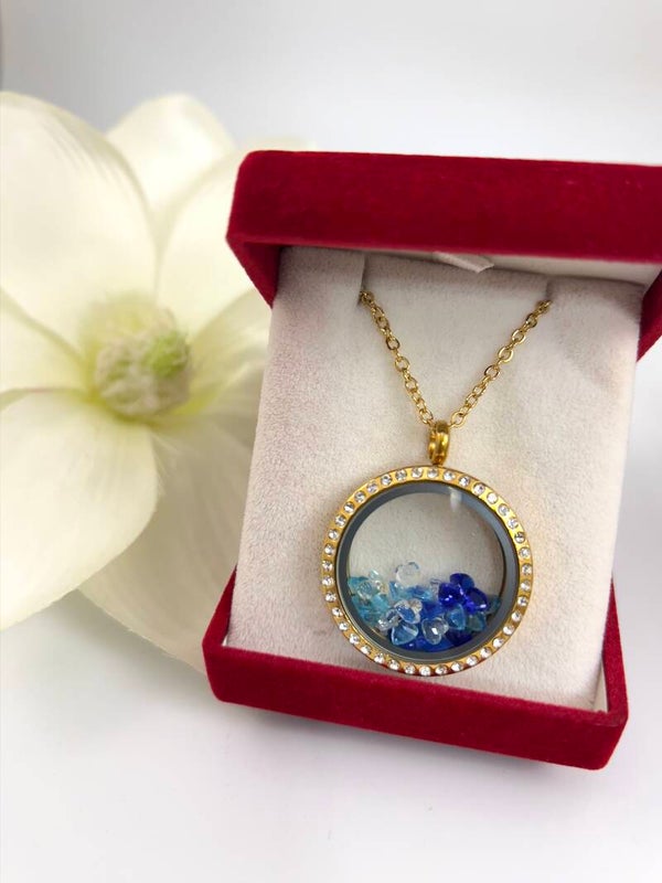 RVS Medaillon Ketting