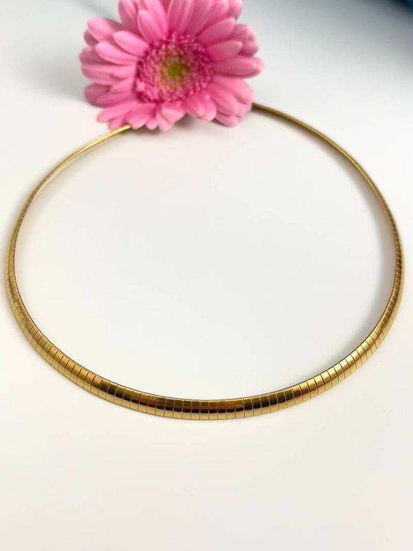 RVS Ray Ketting