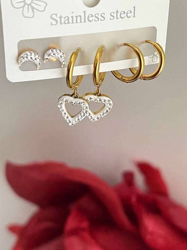 Rvs Oorbellen Set