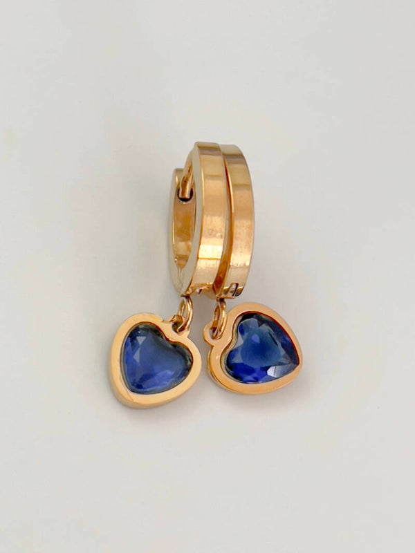 Rvs Blue Heart Oorbellen
