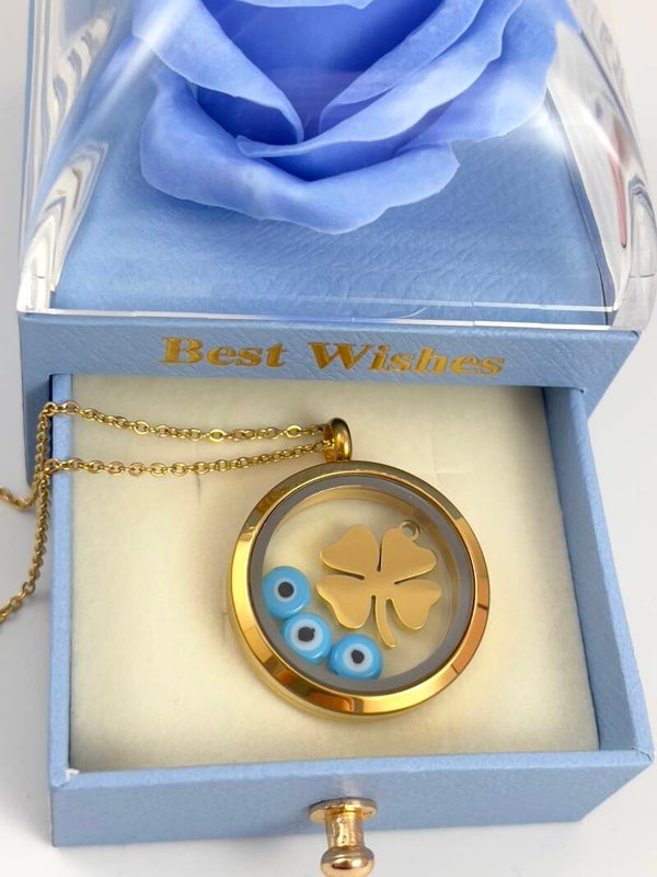 Rvs Medaillon Ketting