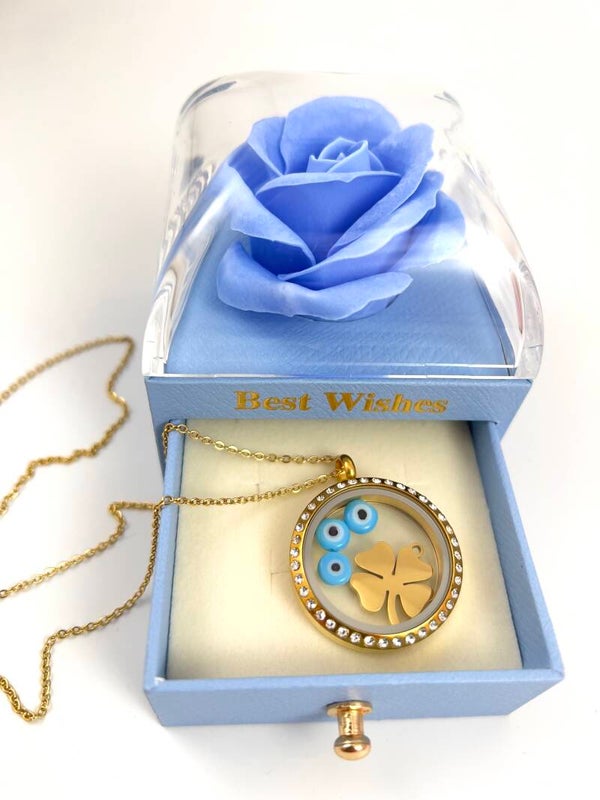 Rvs Medaillon Ketting