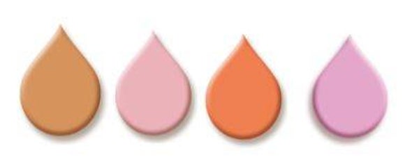 Blush Mini Collection 1