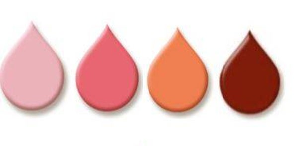 Blush Mini Collection 2