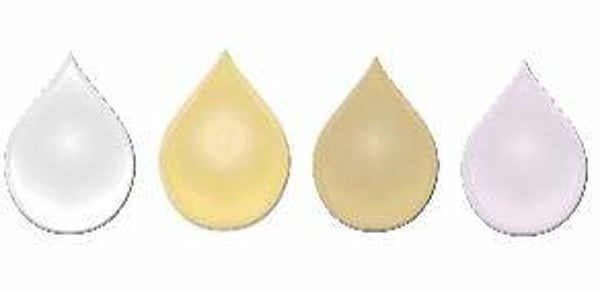 Mini Highlight Collection