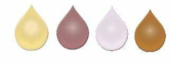 Shimmer Mini Collection