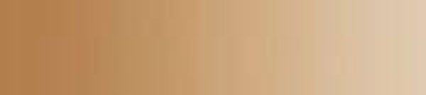 Dk Golden Beige- TC130