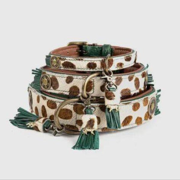 Dog With A Mission CHIQUE BOUTIQUE IVY