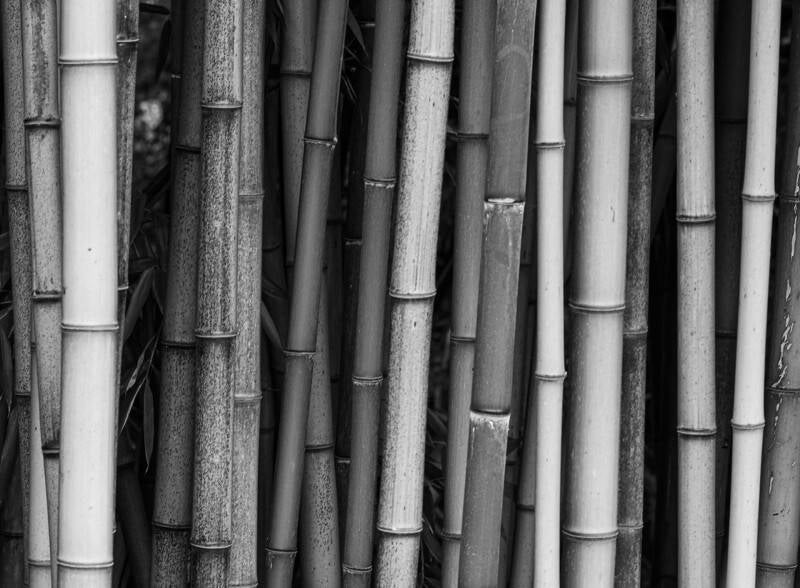 bamboo-mono-chal-standard.jpg