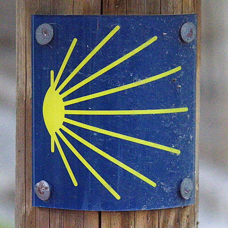 blueandyellowthingy_resize-standard-hce2en.jpg