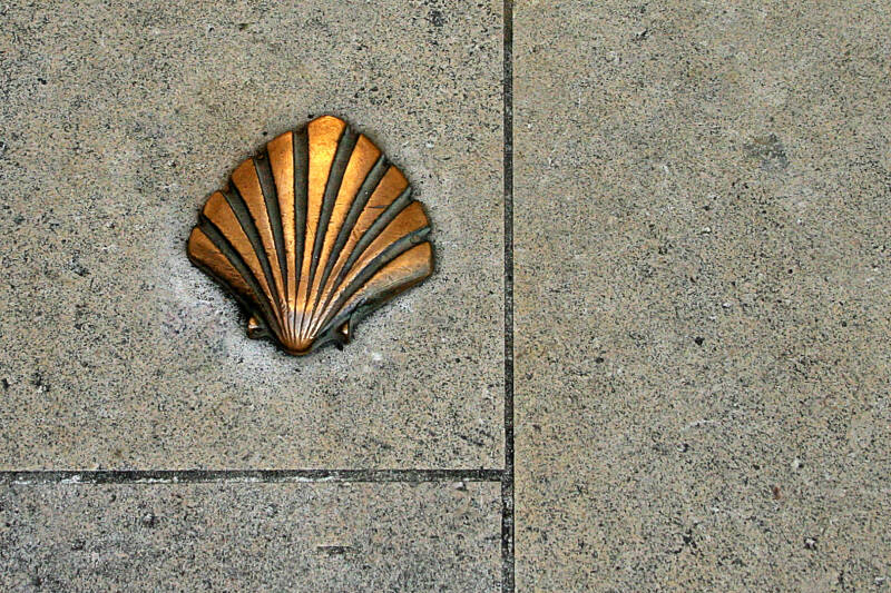 coquille-de-st-jacques-2026-standard.jpg