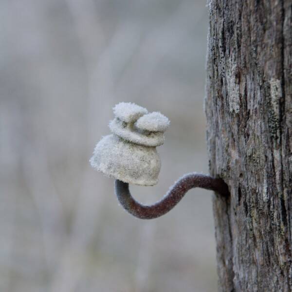 decomposition-inorganique-standard.jpg