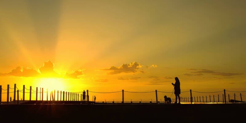 dog-walk-at-sunrise-chal-standard.jpg