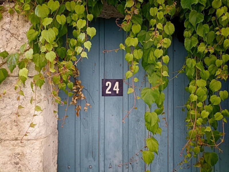 doorway-to-the-dordogne-summer25-standard.jpg