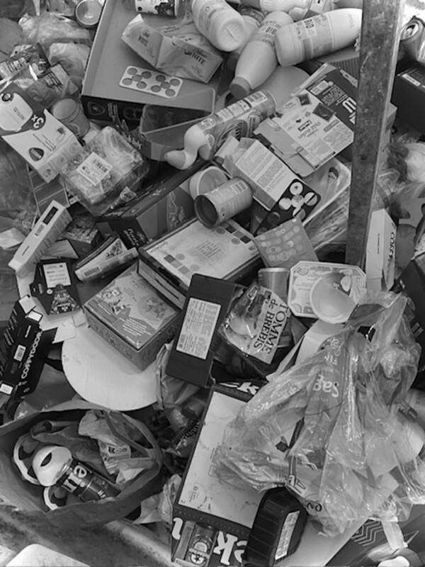 inside-the-recycling-bin-chal-standard.jpg