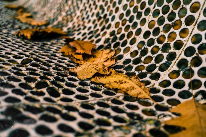 leaves-on-a-bench-chal-standard.jpg
