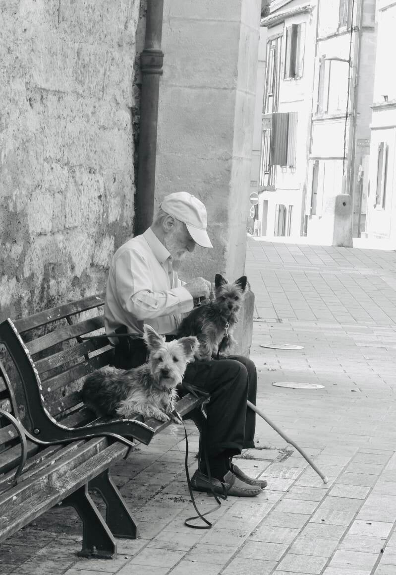 old-man-and-his-friends-1-chal-standard.jpg