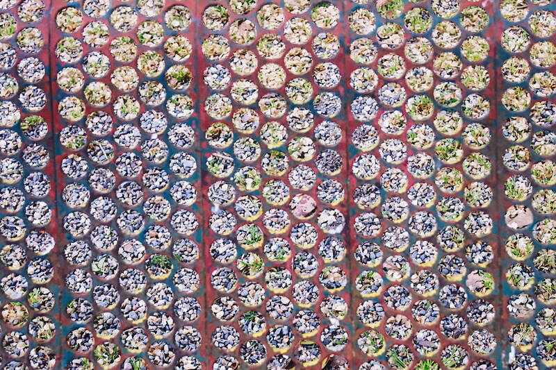 pattern_3687_resize-standard.jpg