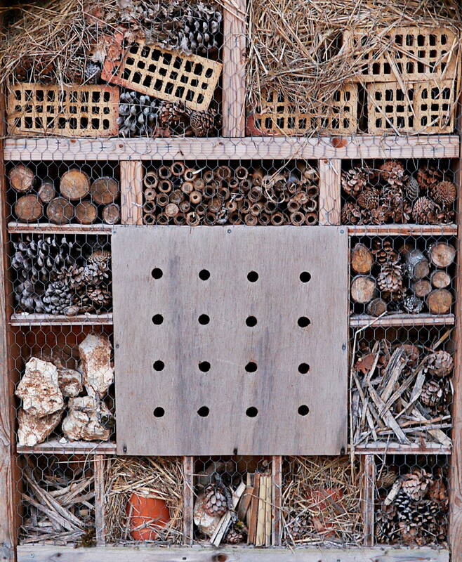 patterns-shapes-bugs-house-02_resize-standard.jpg