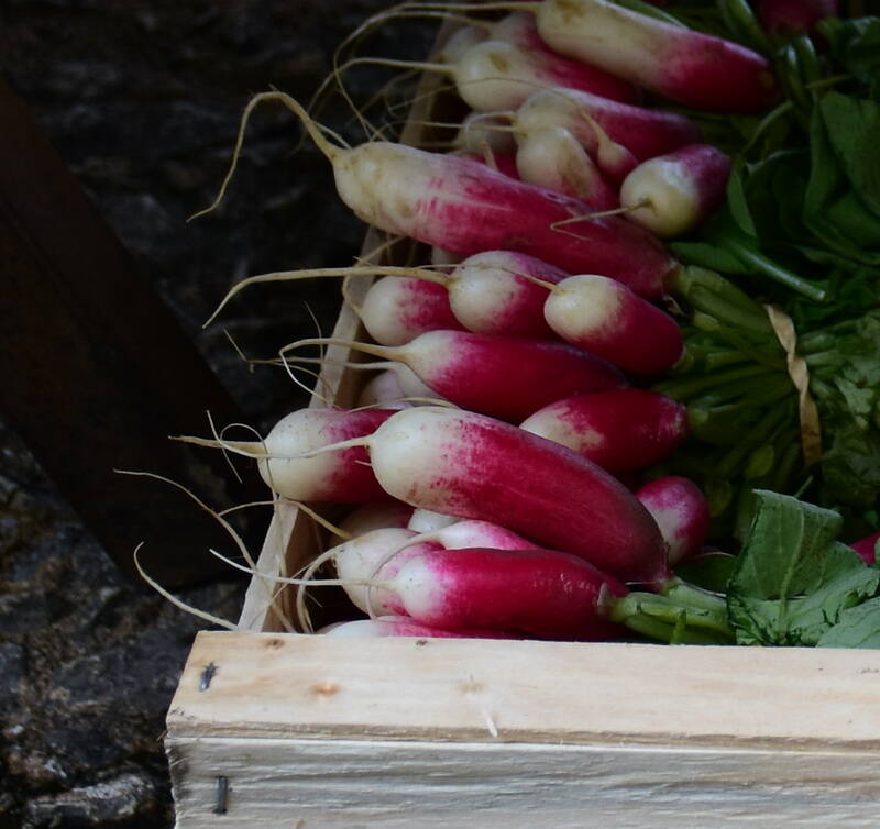 produce-box-of-raddishes-standard.jpg