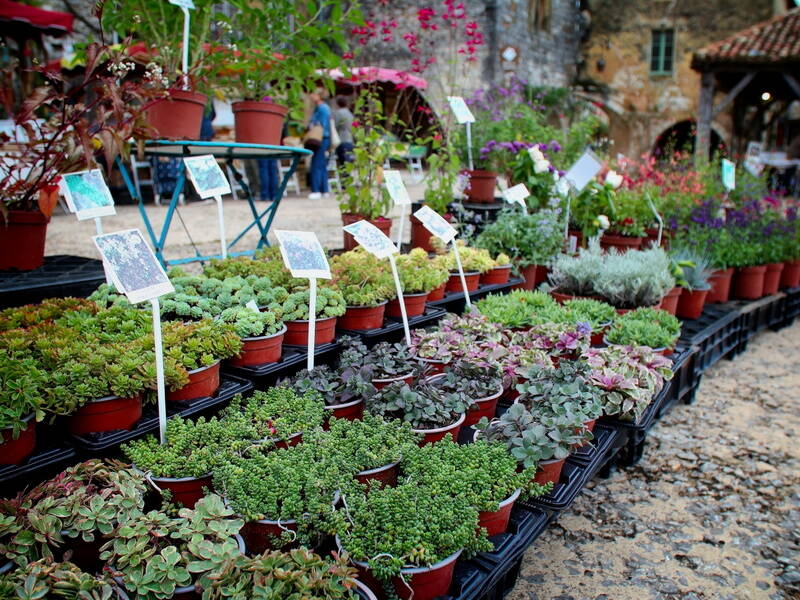 produce-market-garden-standard.jpg