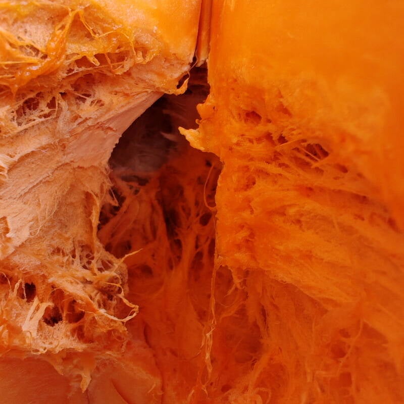 produce_squash-standard.jpg