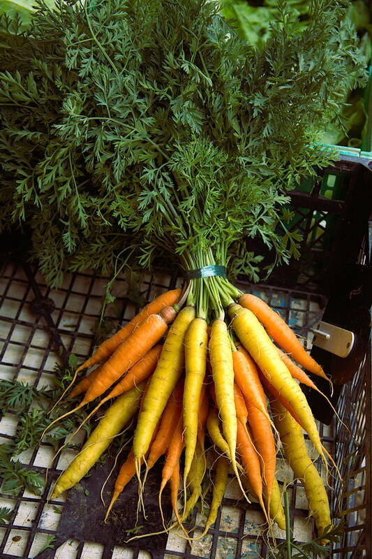 produce_technicolorcarrots-standard.jpg