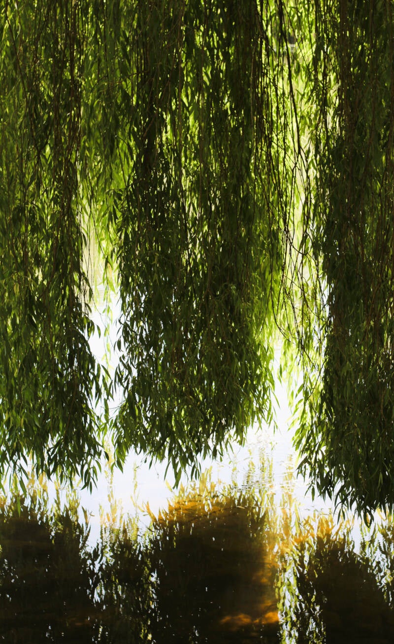 reflets-ombres-standard.jpg