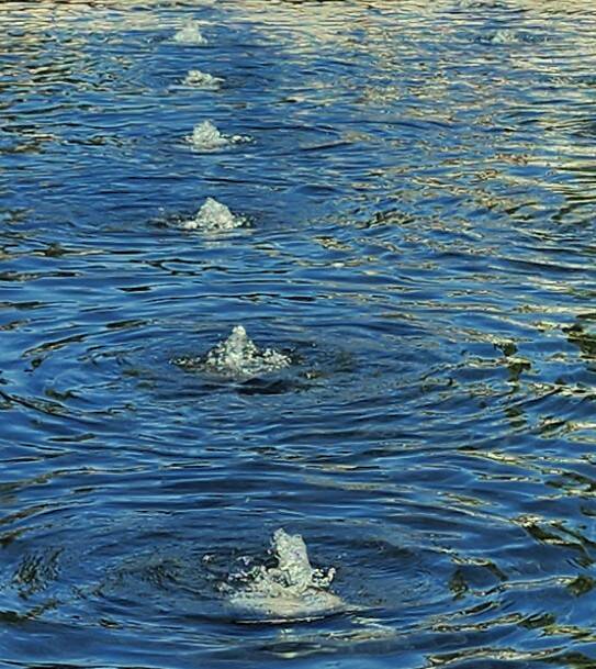rhythmic-ripples_water-standard.jpg