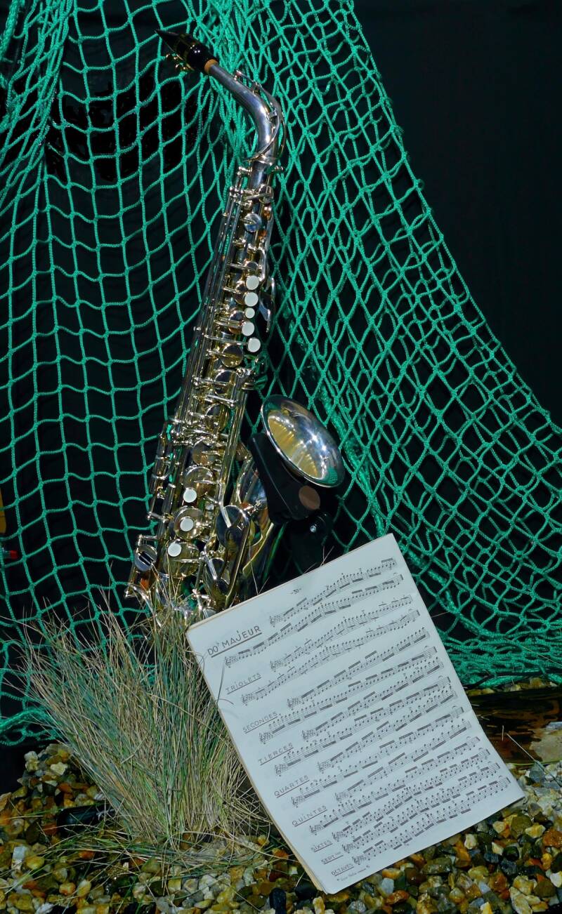scales-chal-standard.jpg