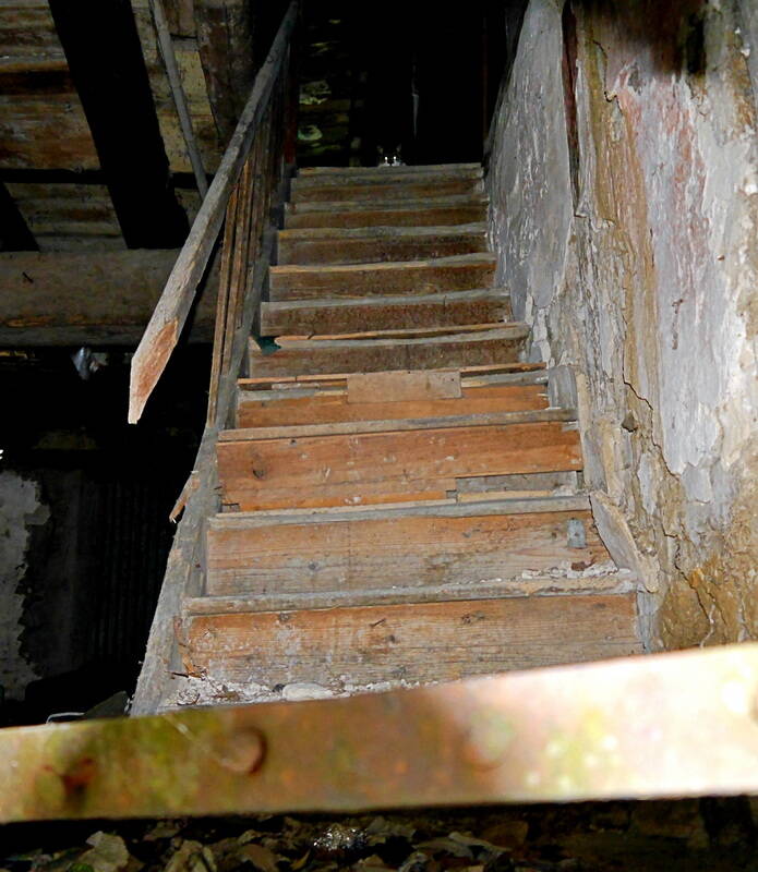stairway-to_resize-standard-wr24g3.jpg