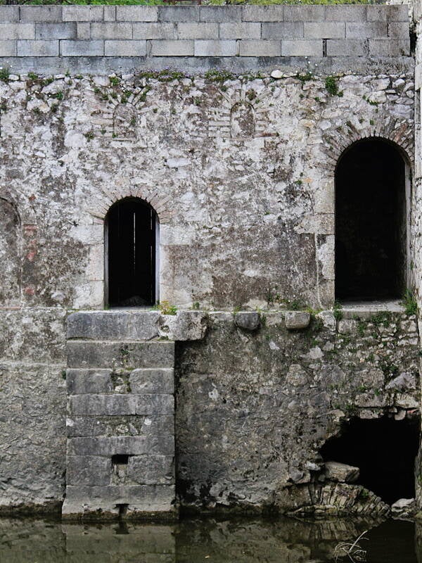 stillstanding_resize-standard.jpg