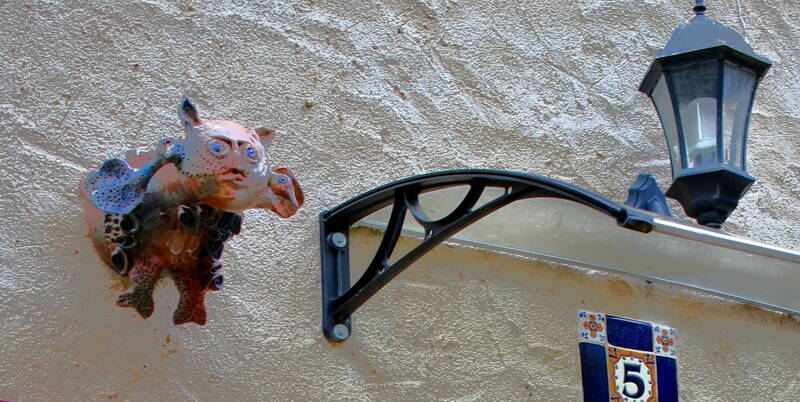 unusual-flying-pig-_-standard.jpg