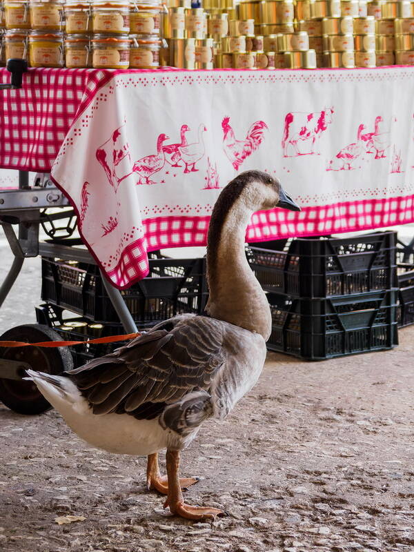 unusual-marcel-advertising-foie-gras-standard.jpg