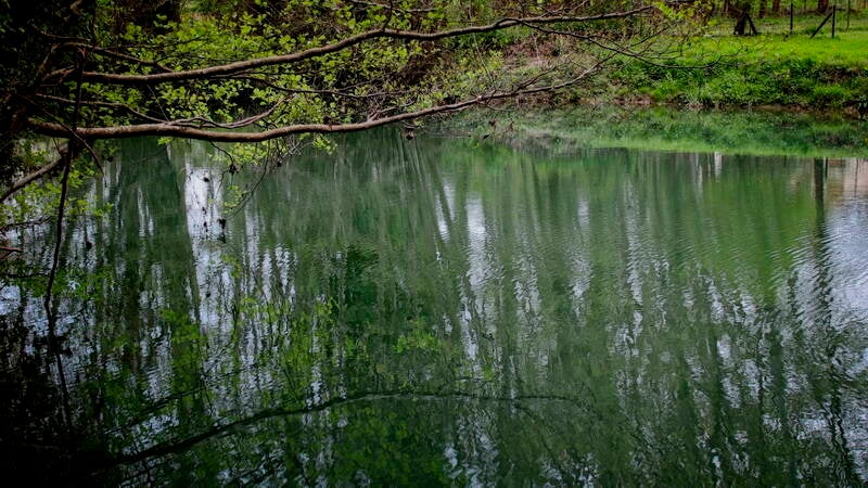 water-1_resize-standard.jpg