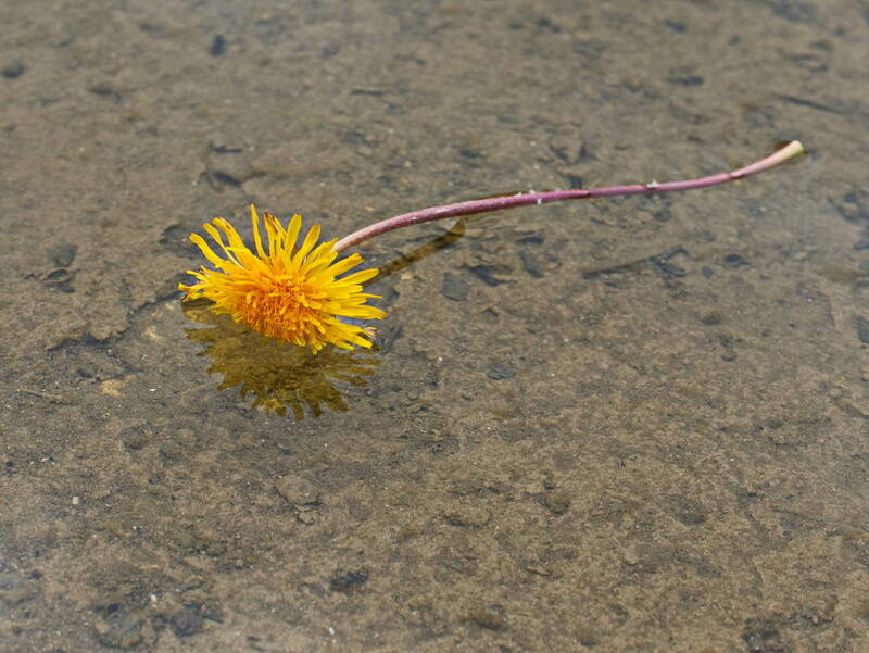 waterp1030026_resize_resize-standard.jpg
