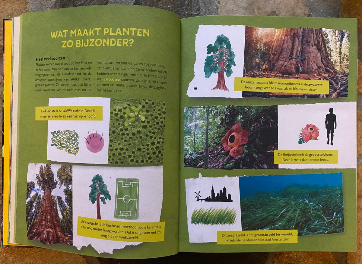 Gevaar in het plantenrijk / Boeken: lees over de natuur / Boeken en